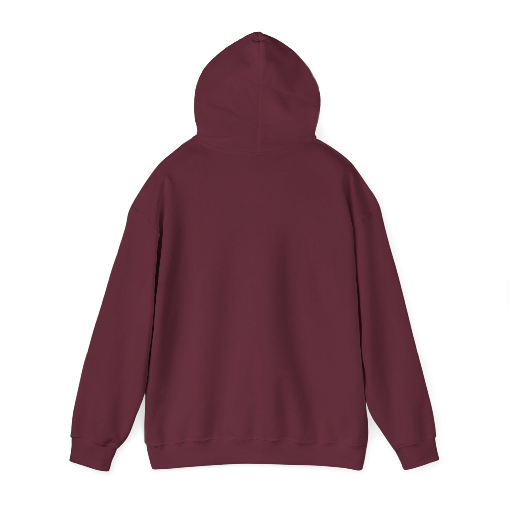 Chinchilla Chill Hoodie — Cute Sleeping Chinchilla Graphic Sweatshirt