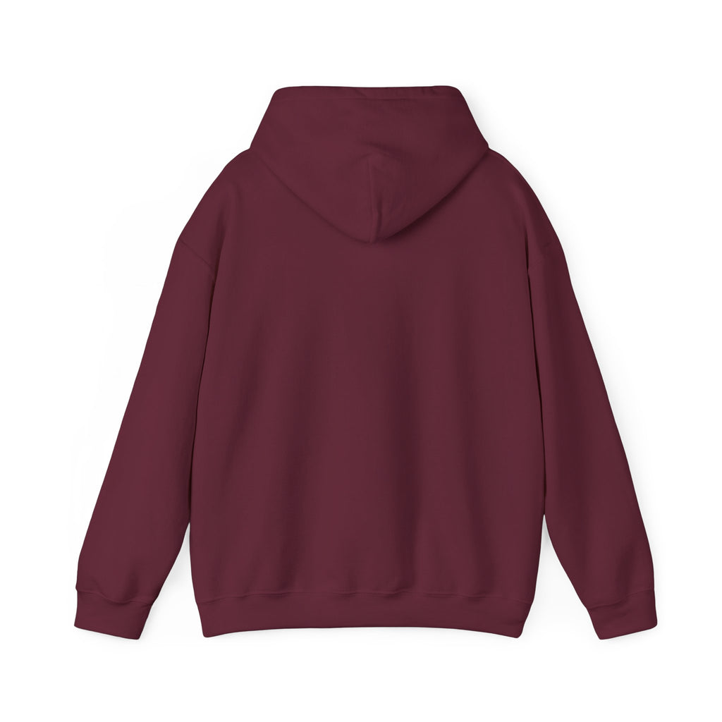 Chinchilla Chill Hoodie — Cute Sleeping Chinchilla Graphic Sweatshirt