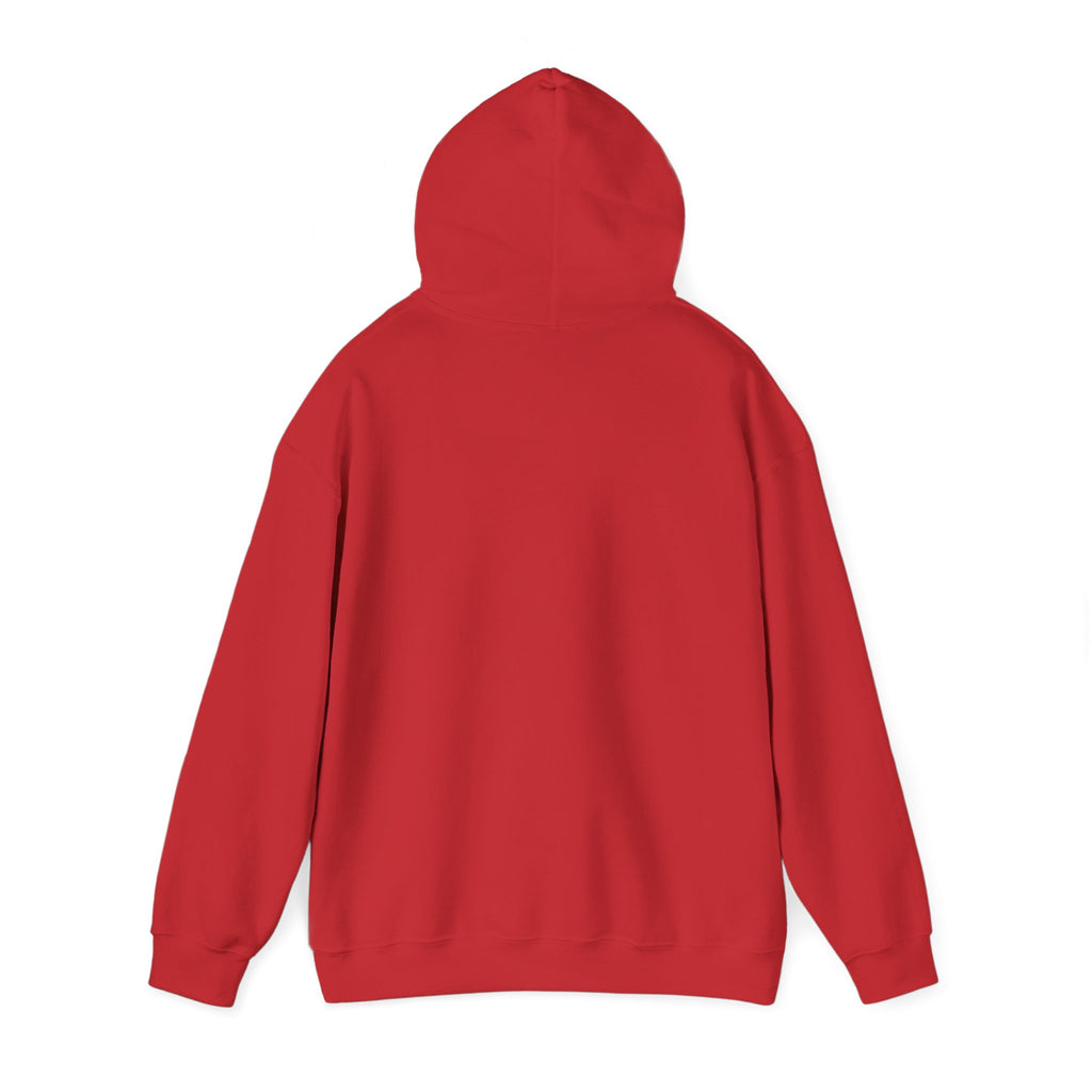 Chinchilla Chill Hoodie — Cute Sleeping Chinchilla Graphic Sweatshirt