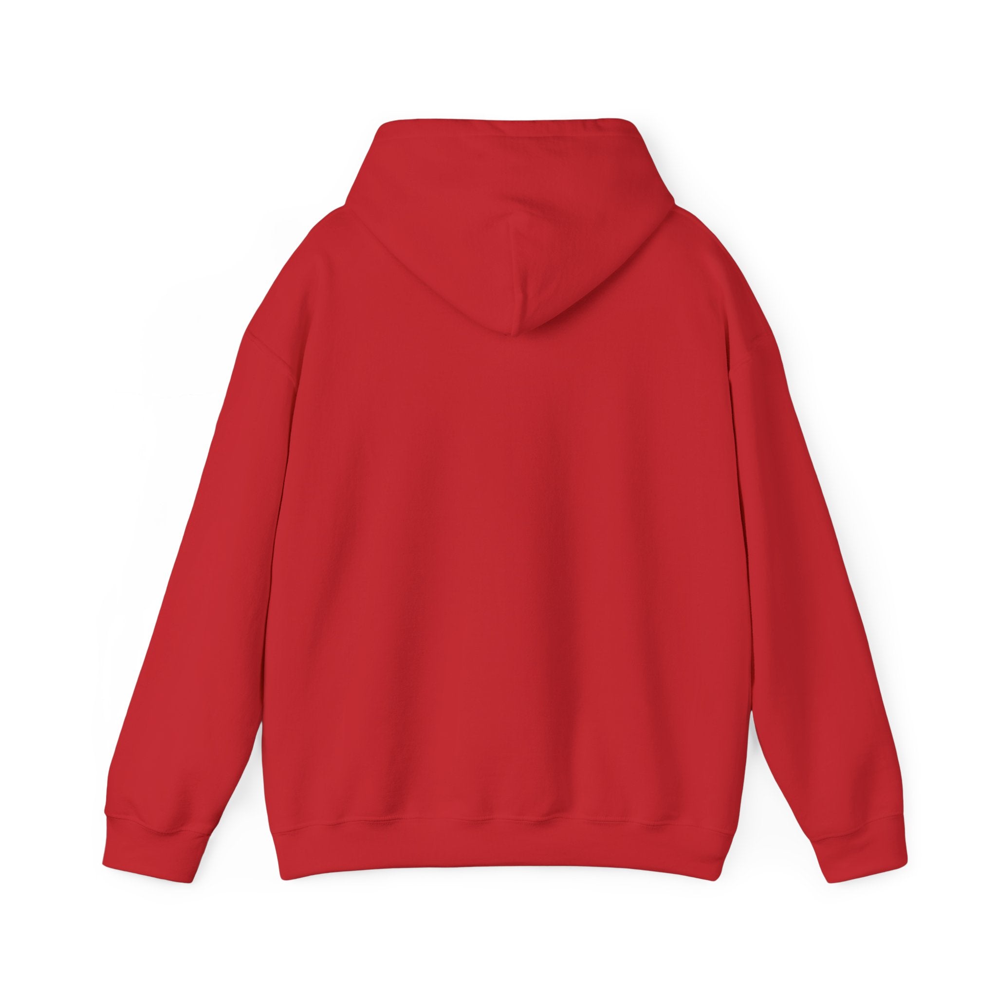 Chinchilla Chill Hoodie — Cute Sleeping Chinchilla Graphic Sweatshirt