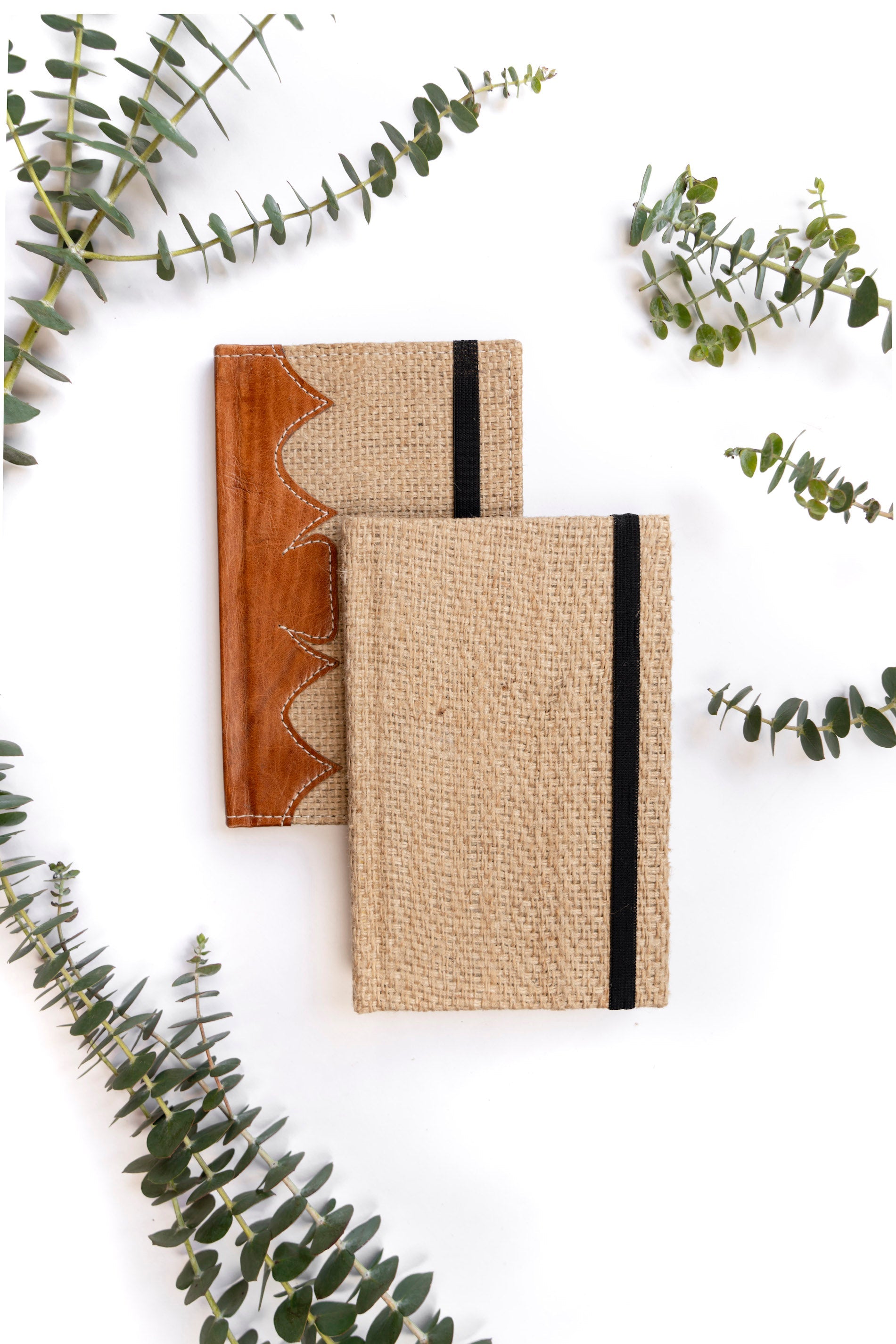Saddleback Journal